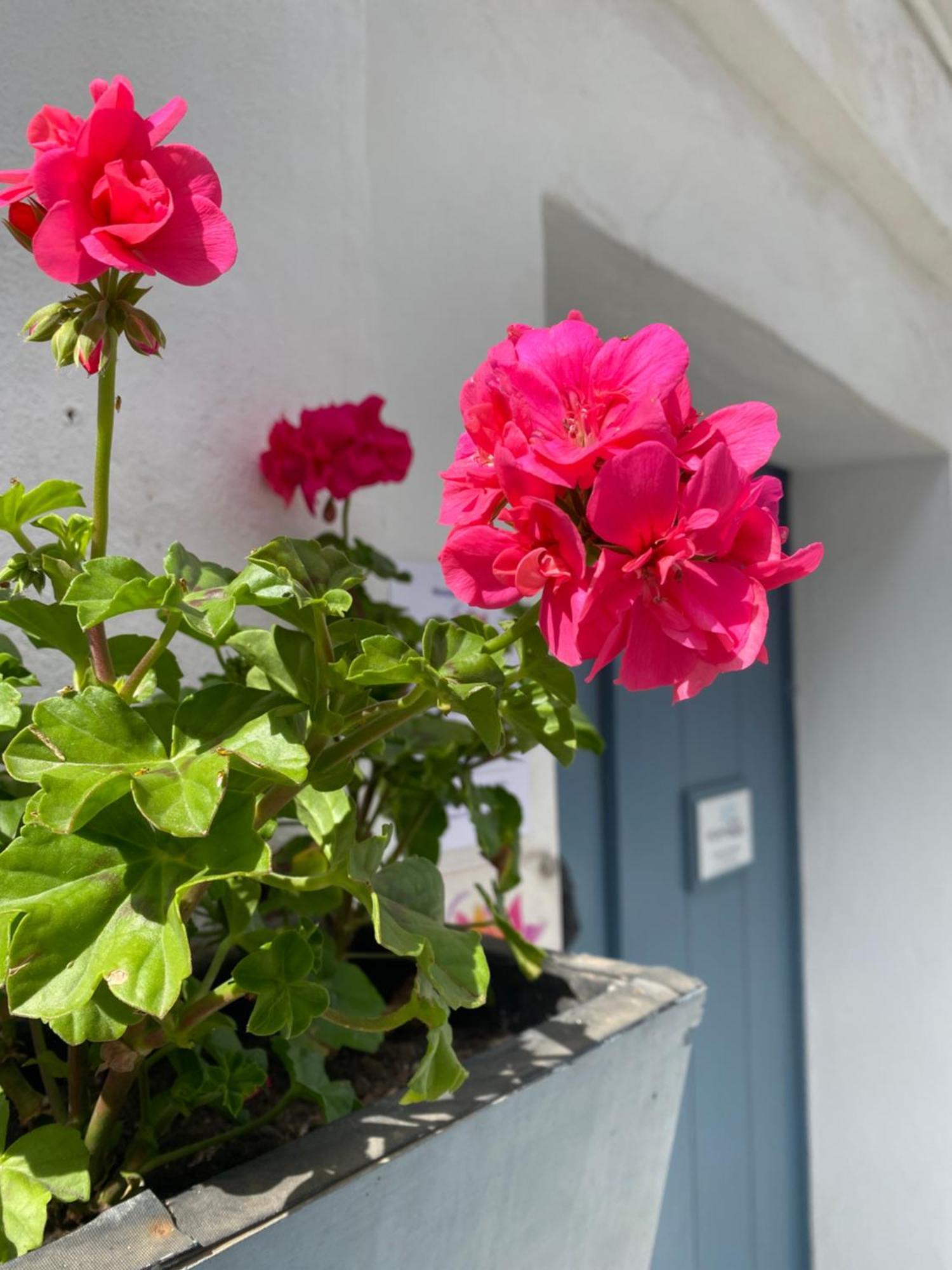 Victoria Seis Hotel Medina-Sidonia Exterior foto